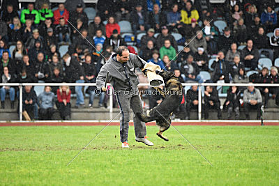 Ohmy vom Lisdorferland