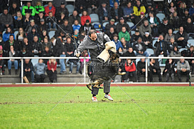 Ohmy vom Lisdorferland