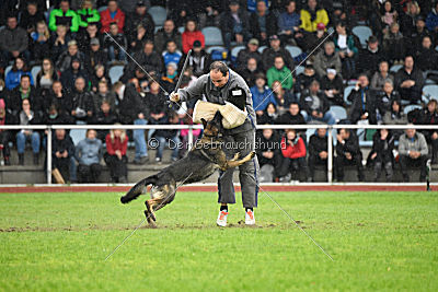 Ohmy vom Lisdorferland