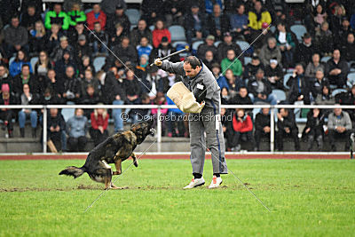 Ohmy vom Lisdorferland