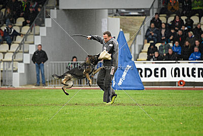 Ohmy vom Lisdorferland