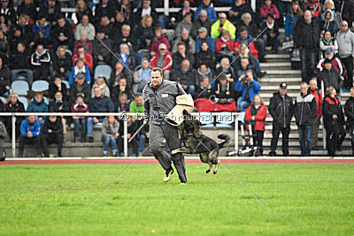 Ohmy vom Lisdorferland