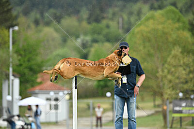 Oke van het Dreiland