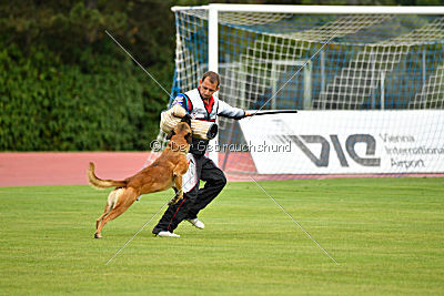 Oké van het Dreiland