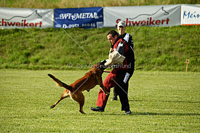 Olav vom Brunsbeker Land