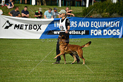 Olav vom Brunsbeker Land