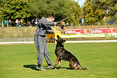 Ole vom Osterburg Quell