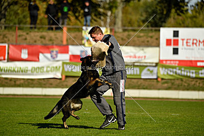 Ole vom Osterburg Quell
