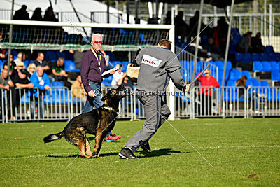 Ole vom Osterburg Quell
