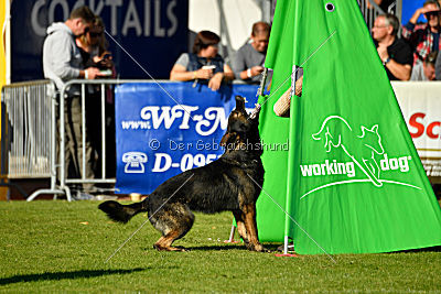 Ole vom Osterburg Quell