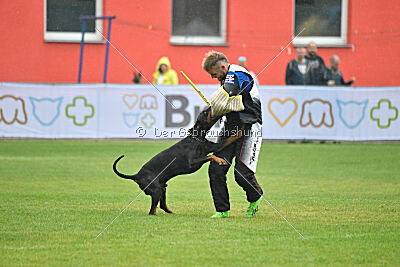 Olex Chuck vom Landgraf