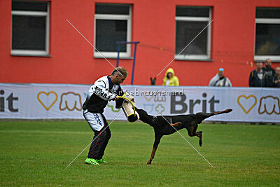 Olex Chuck vom Landgraf