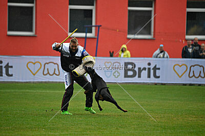 Olex Chuck vom Landgraf