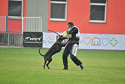 Olex Chuck vom Landgraf