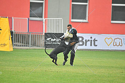 Olex Chuck vom Landgraf