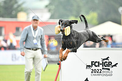 Olex Chuck vom Landgraf