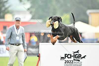 Olex Chuck vom Landgraf