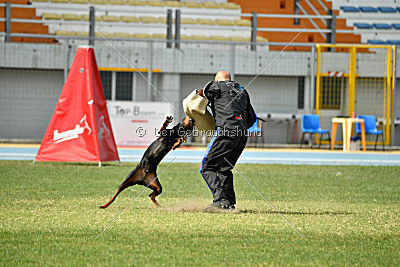 Olex Chuck vom Landgraf
