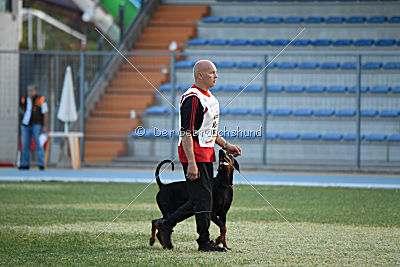 Olex Chuck vom Landgraf