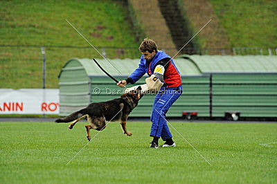 Oliver Val-bella-dog