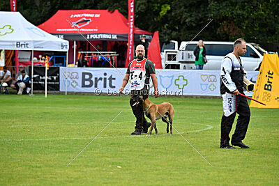 Omer de Hellehond