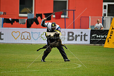 One Devil von der Herdergang