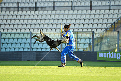 Onyxia van Blutsenhof