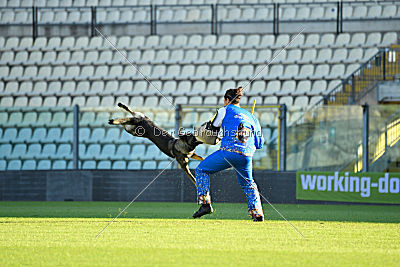 Onyxia van Blutsenhof