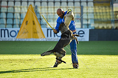 Onyxia van Blutsenhof