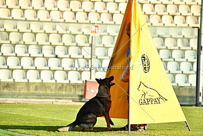 Onyxia van Blutsenhof