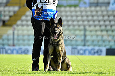 Onyxia van Blutsenhof