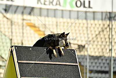 Onyxia van Blutsenhof