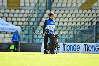 Onyxia van Blutsenhof