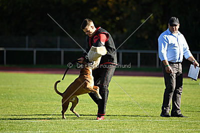 Orazio vom Hammersee
