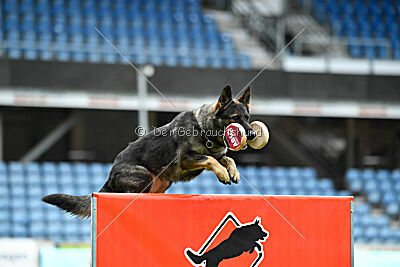 Orphée des Orckis de l'Adret