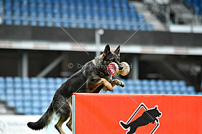 Orphée des Orckis de l'Adret