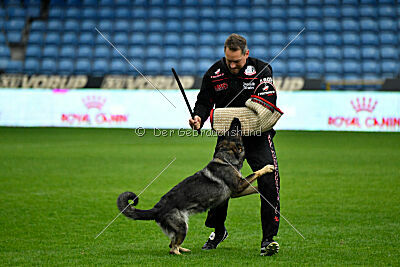 Orphée des Orckis de l'Adret