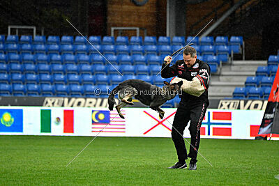 Orphée des Orckis de l'Adret