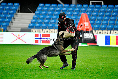 Orphée des Orckis de l'Adret