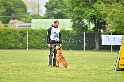 Orus des pas des Betes