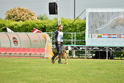 Orus des pas des Betes