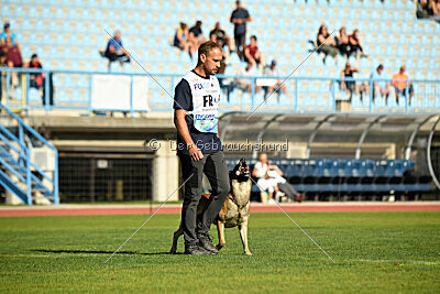 Orus des pas des betes