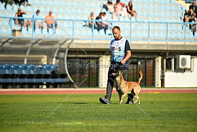 Orus des pas des betes