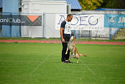 Orus des pas des bêtes