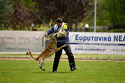 Orus des pas des bêtes
