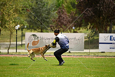 Orus des pas des bêtes