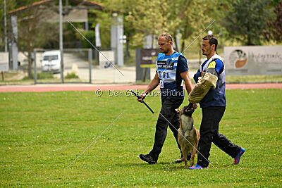 Orus des pas des bêtes