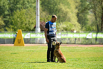 Orus des pas des bêtes