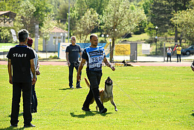 Orus des pas des bêtes