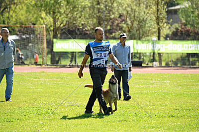 Orus des pas des bêtes